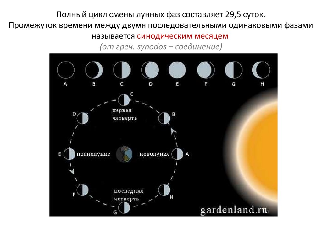 Сколько часов длятся лунные сутки. Полный цикл лунных фаз. Цикл смены лунных фаз. Полный цикл смены лунных фаз составляет. Движение и фазы Луны.