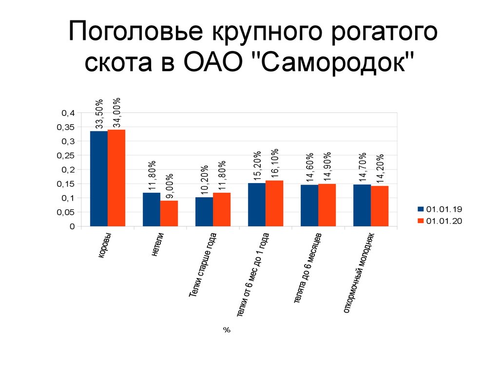 План племенной работы в скотоводстве