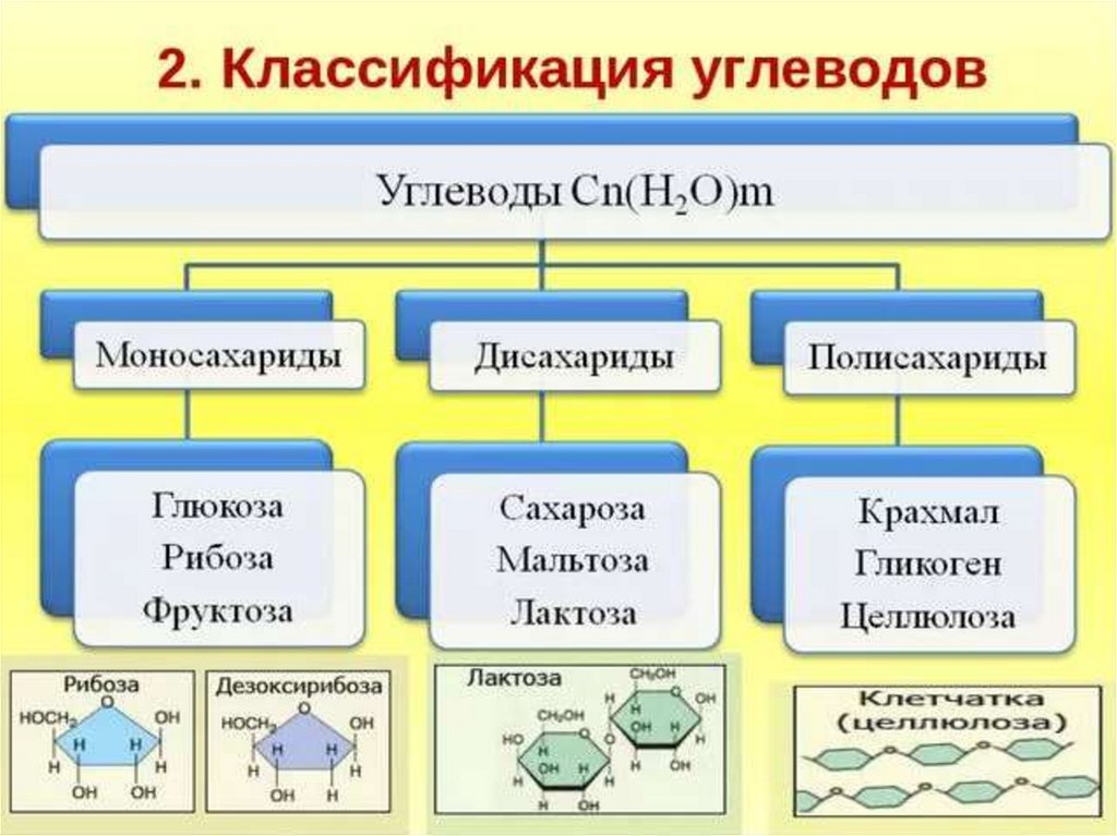 Углеводы схема строения