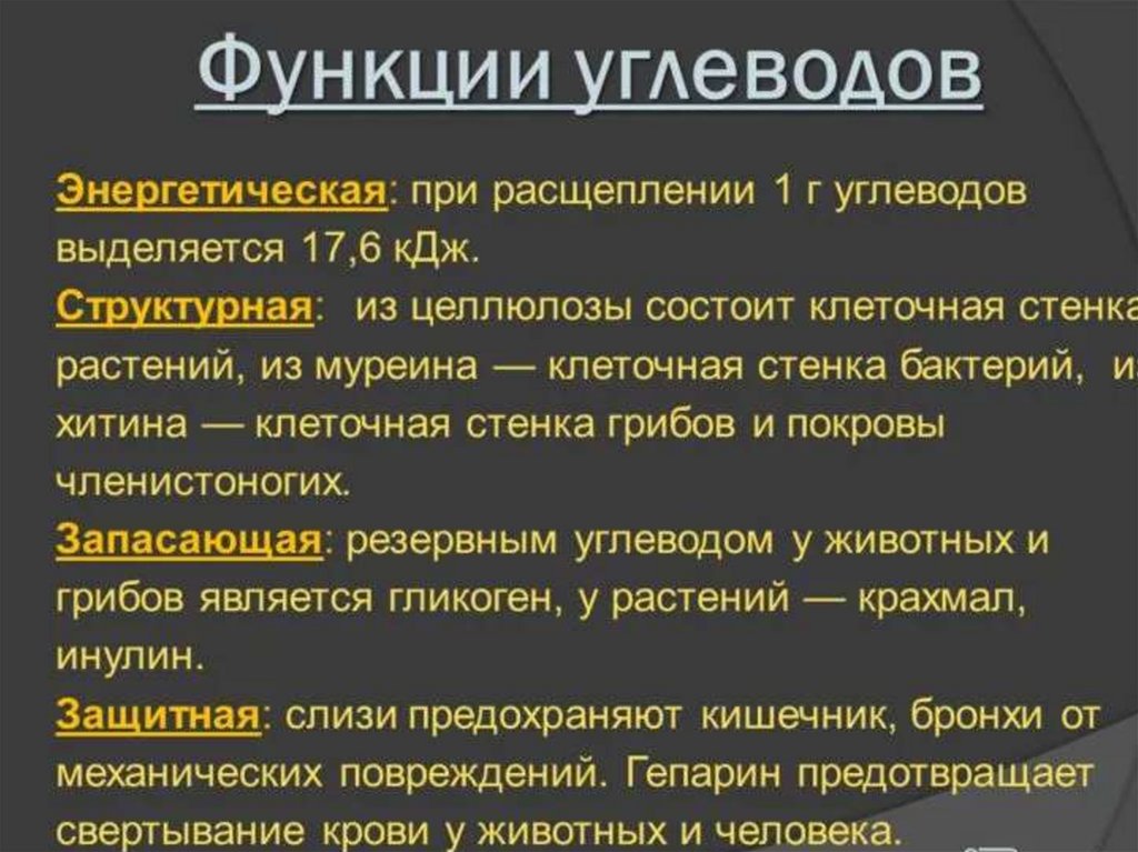 Энергетическая функция углеводов в организме человека