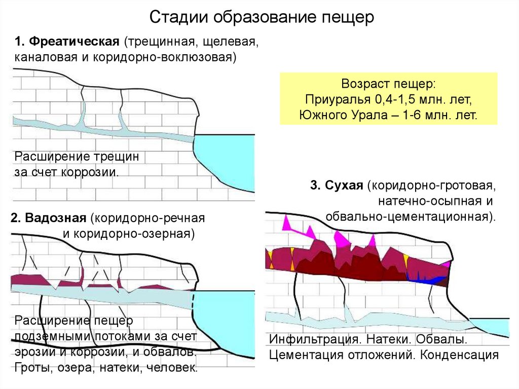 Стадии образования