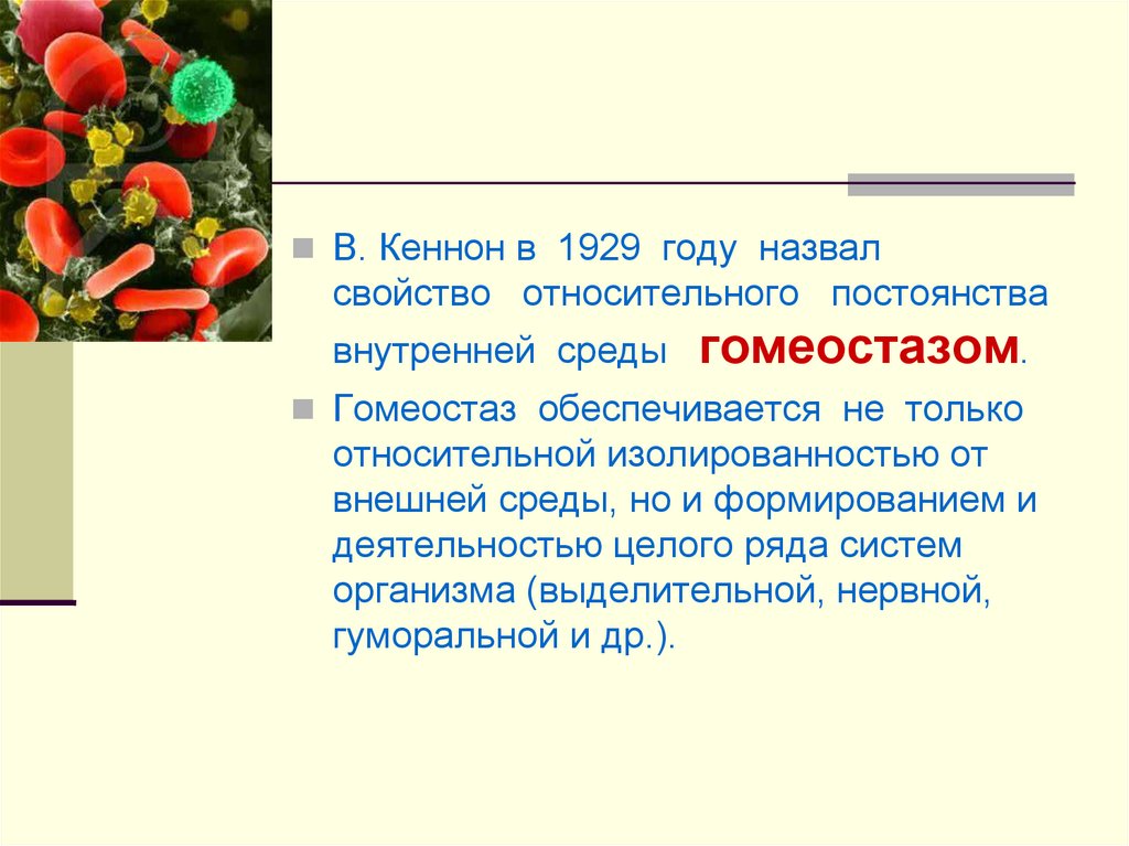 Тест состав внутренней среды организма