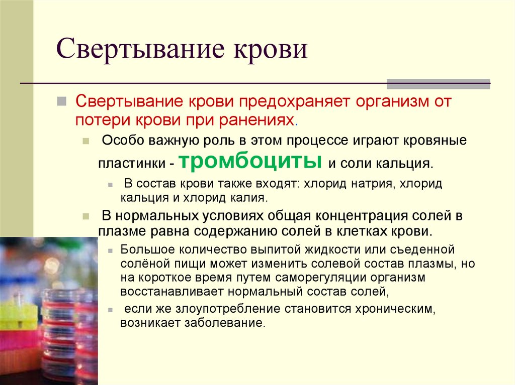 Какого значение крови для организма