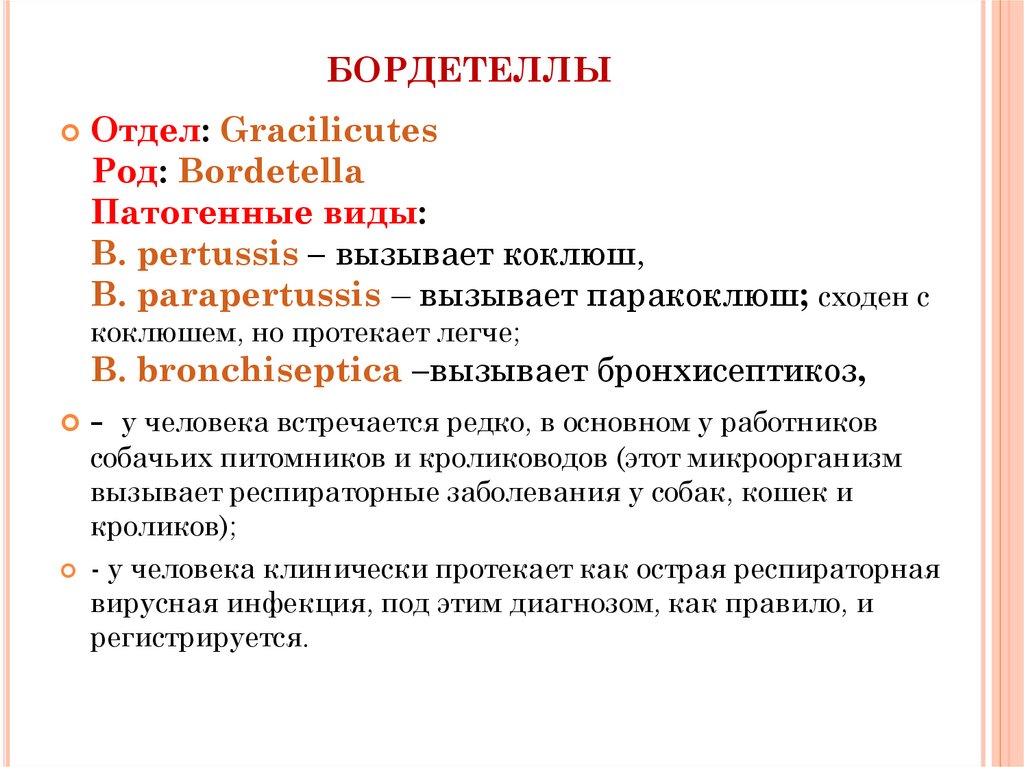 Бордетелла бронхисептика. Бордетеллы классификация. Бордетеллы таксономия. Болезни вызываемые бордетеллами. Род бордетелла.