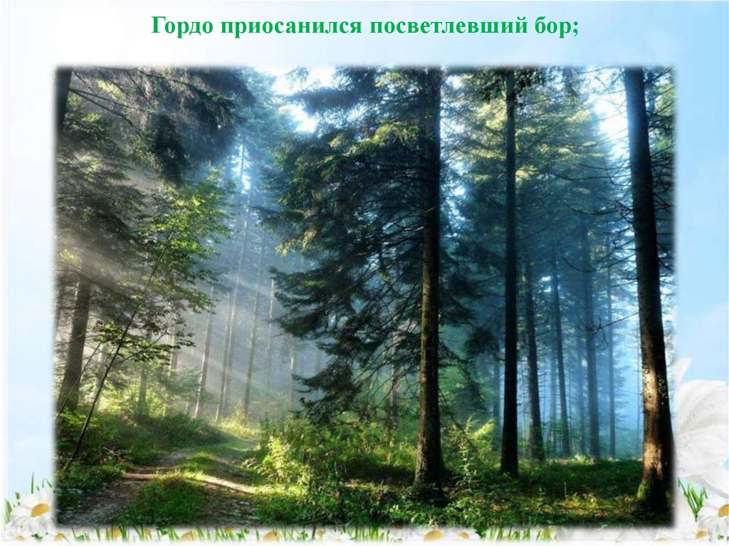 Гордо приосанился посветлевший бор;