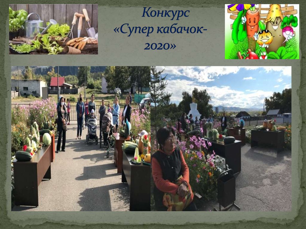 Конкурс «Супер кабачок-2020»