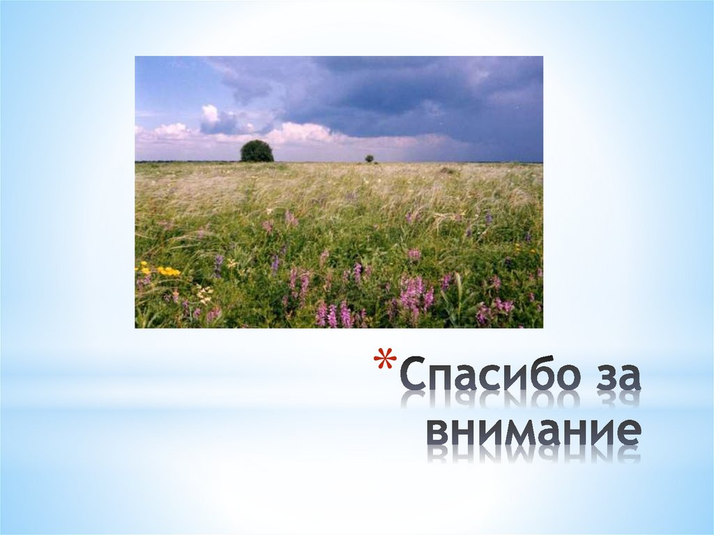 Спасибо за внимание