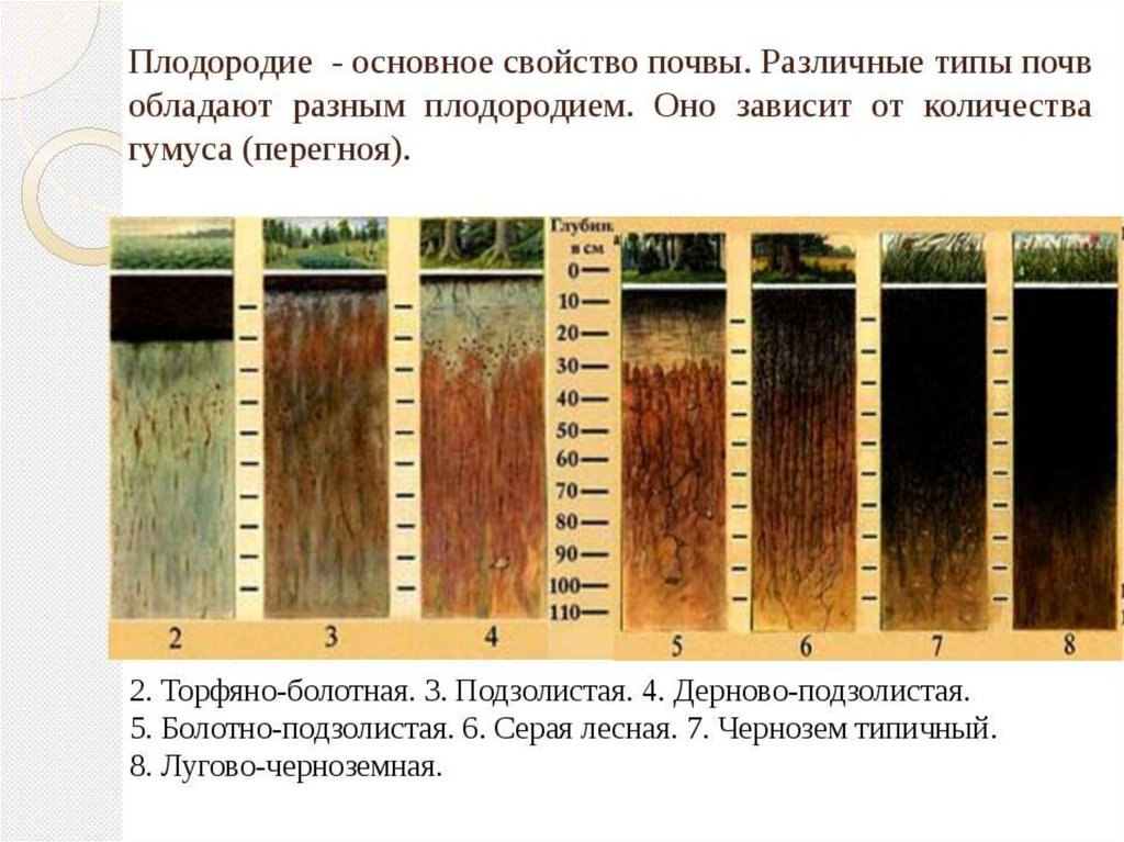 Типы почвы схема