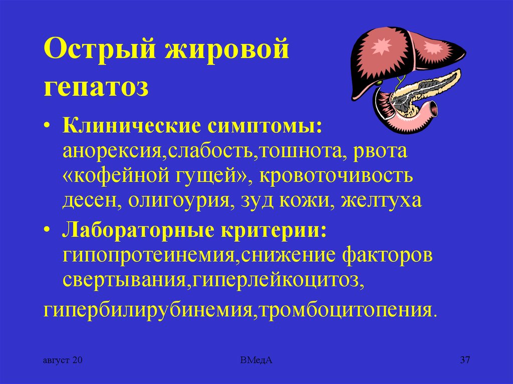 Причины и лечение жирового гепатоза печени. Жировой гепатоз печени симптомы. Жировом гепатозе печени симптомы. Печень при жировом гепатозе.