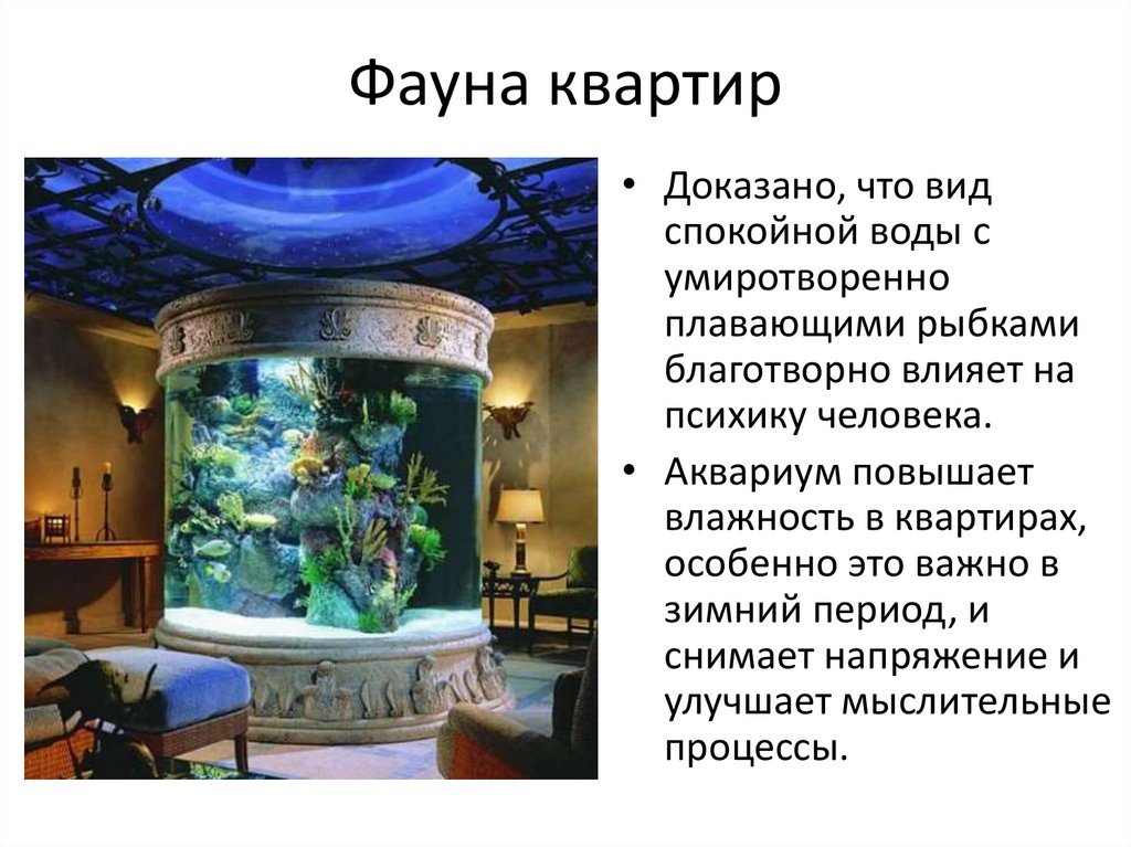 Исследование аквариумных рыбок какая наука. Проект аквариум. Аквариум искусственная экосистема. Замкнутые экосистемы аквариумы. Аквариум - искусственная экосистема в доме.
