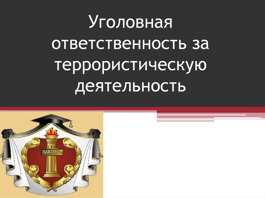 Презентация на тему уголовный процесс 10 класс