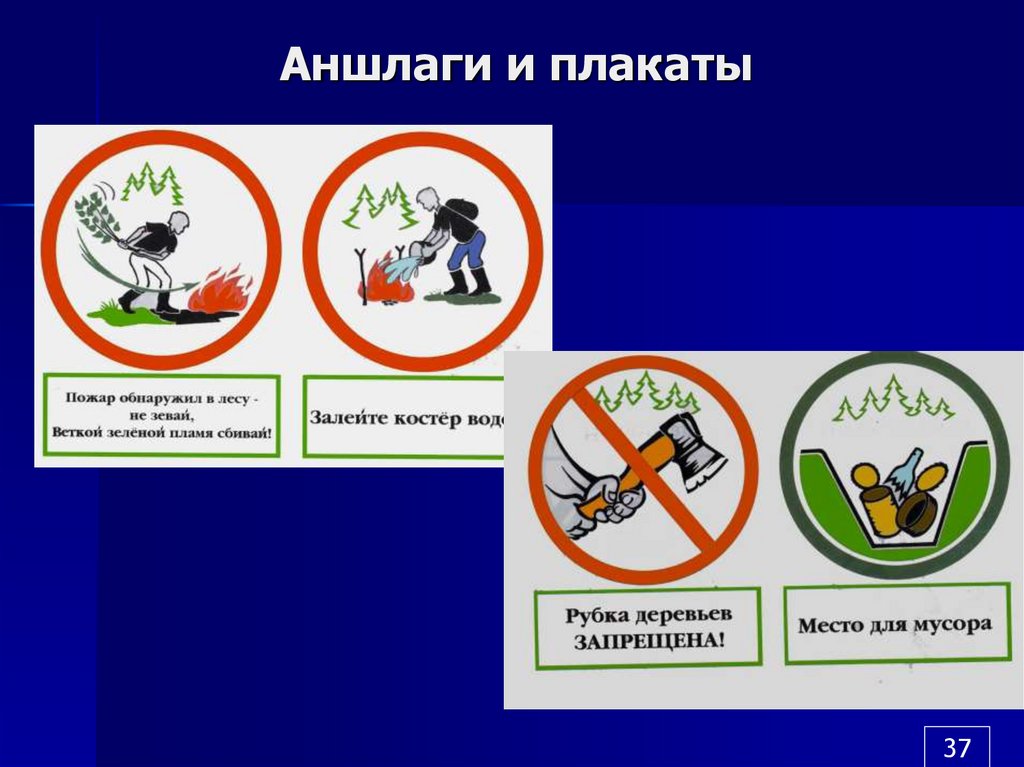 Что такое аншлаг простыми словами. Аншлаг Постер. Информационные аншлаги. Аншлаг это табличка в лесу. Аншлаги плакаты.