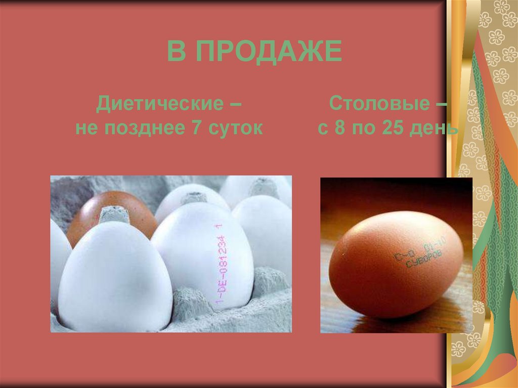 Доброкачественность яиц. Определение доброкачественности яиц 5 класс презентация.