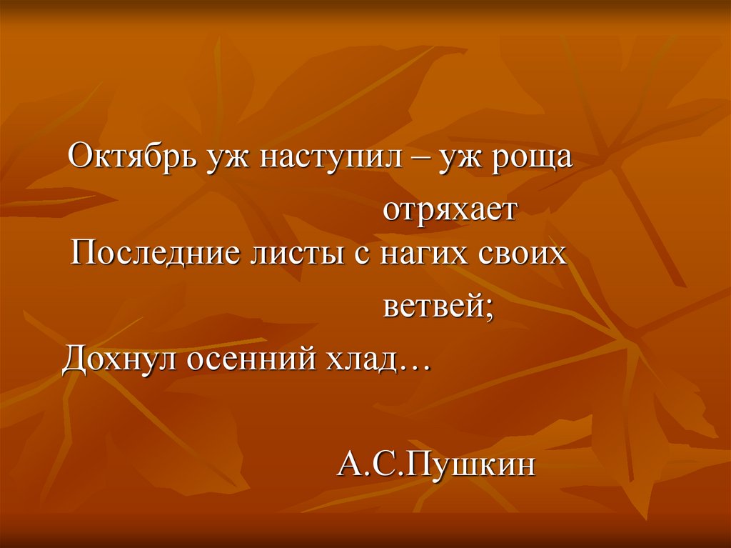 Последний урок русского языка в 6 классе презентация