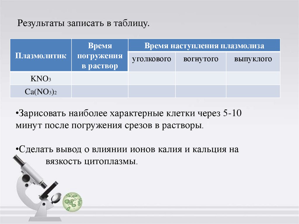 Запишите результат данных программ