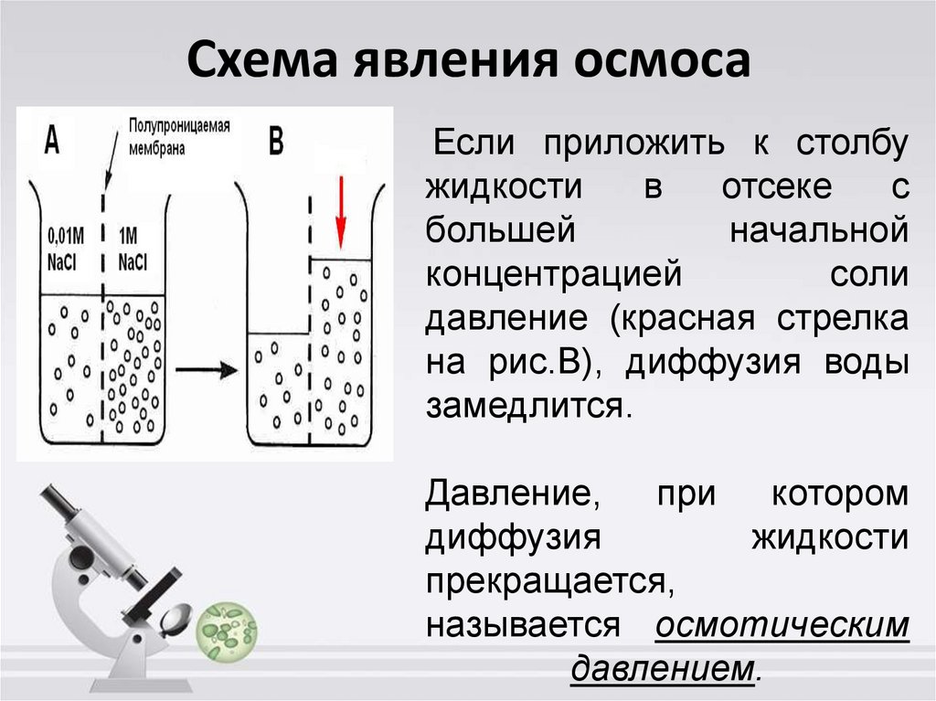 Осмотическая электростанция проект по физике