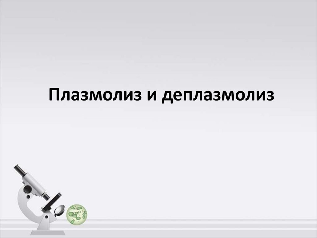 Плазмолиз и деплазмолиз презентация 10 класс