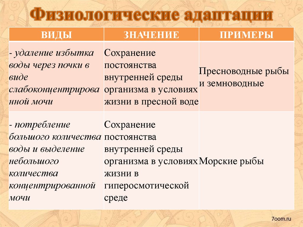 Физиологическая адаптация. Физиологические адаптации примеры. Адаптация на физиологическом уровне примеры.