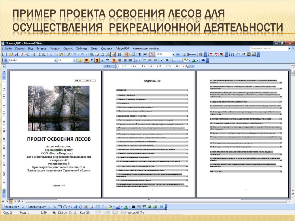 Приказ минприроды 864 проект освоения лесов. Проект освоения лесов. Проект освоения лесов для пчеловодства образец.