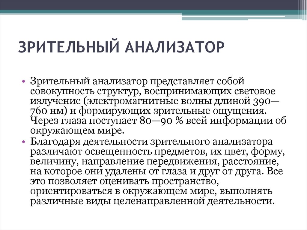 ЗРИТЕЛЬНЫЙ АНАЛИЗАТОР