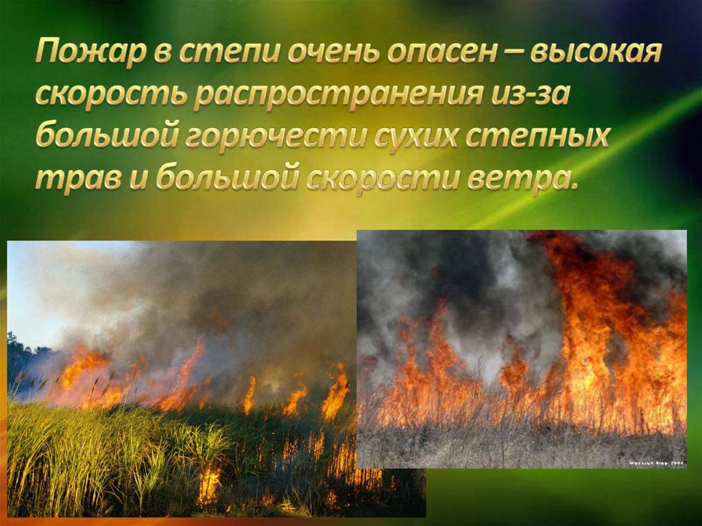 Пожар в степи очень опасен – высокая скорость распространения из-за большой горючести сухих степных трав и большой скорости