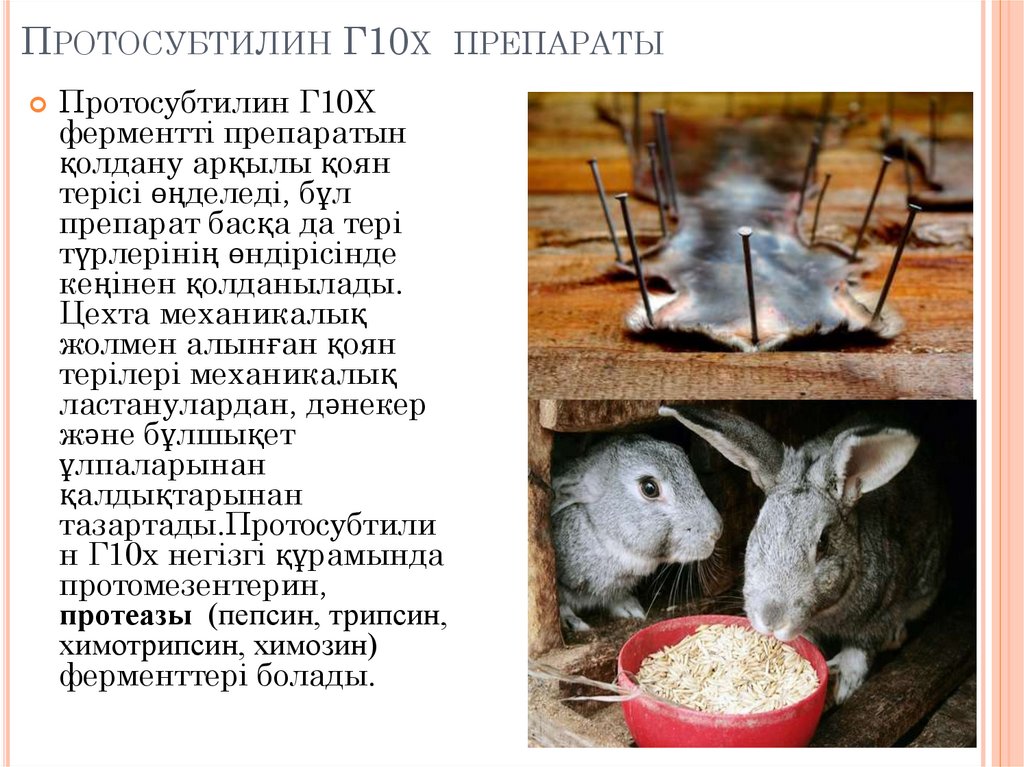 Протосубтилин Г10х препараты