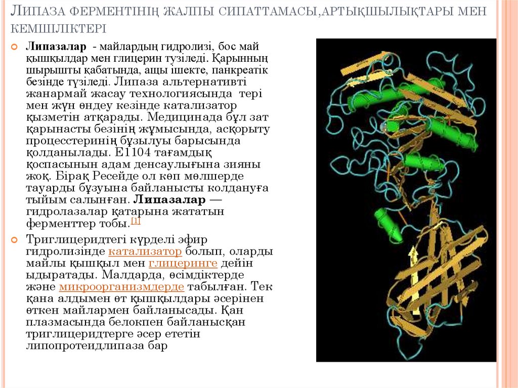 Липаза ферментінің жалпы сипаттамасы,артықшылықтары мен кемшіліктері