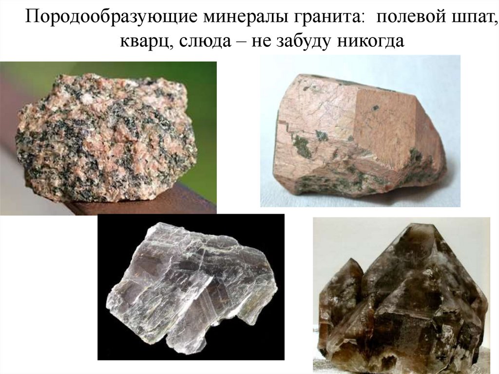 Породообразующие минералы гранита: полевой шпат, кварц, слюда – не забуду никогда