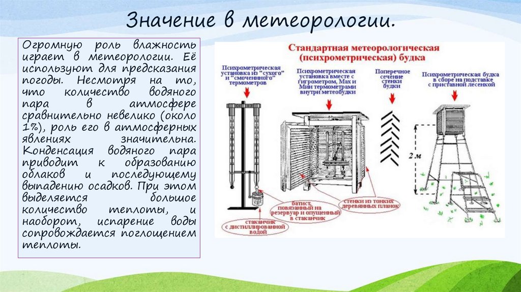 Презентация значение влажности в жизни человека