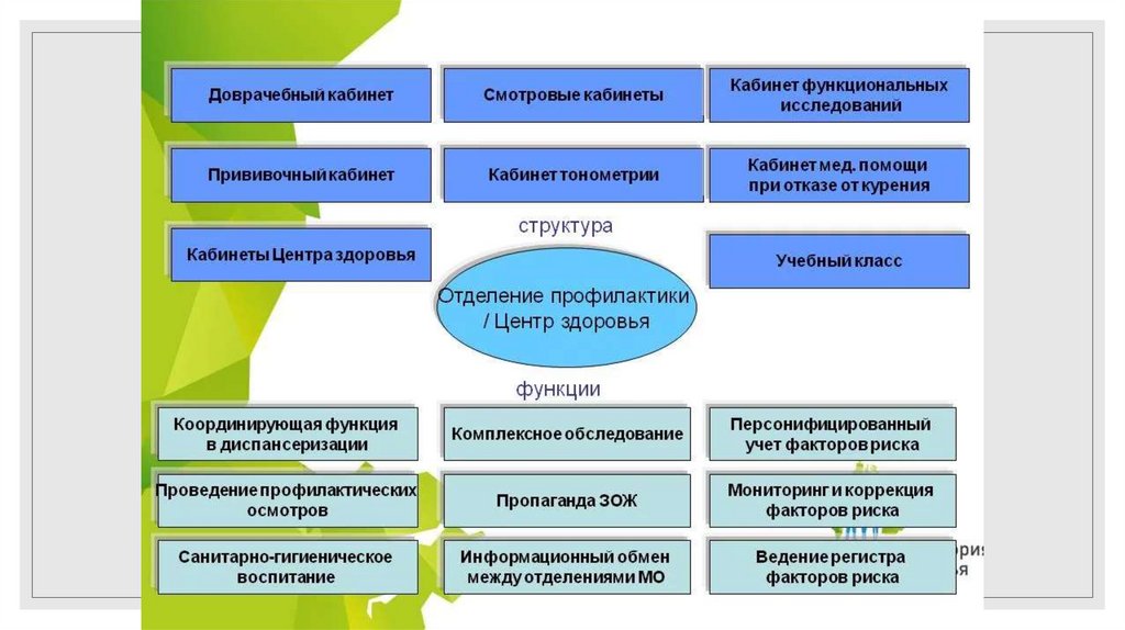 Отделы центра здоровья