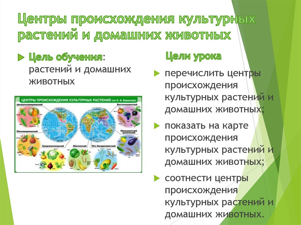 Центры происхождения культурных растений и домашних животных презентация