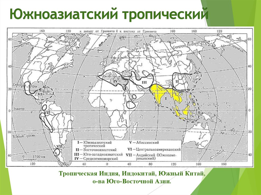 Кофе центр происхождения культурных растений. Южноазиатский тропический. Центры происхождения культурных растений карта. Южноазиатский тропический центр происхождения. Восточноазиатский центр происхождения домашних животных.