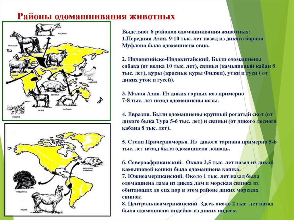 Центры одомашнивания животных карта