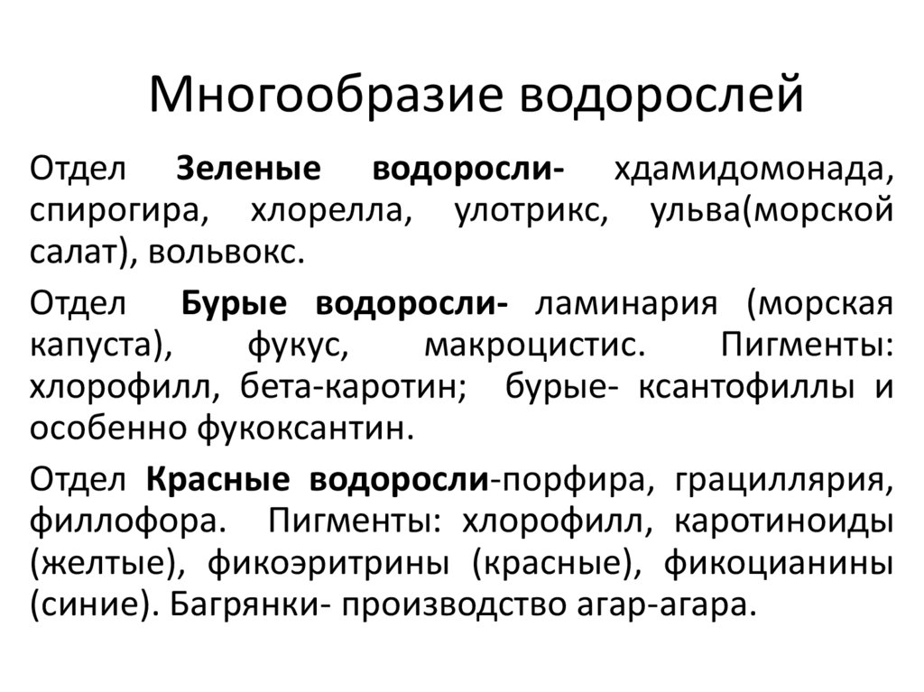 Многообразие водорослей