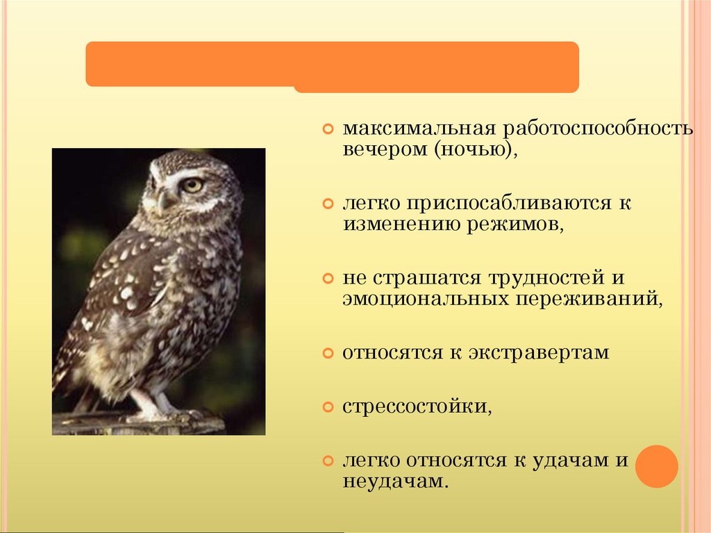 Секреты биологических часов человека у жаворонков и сов презентация