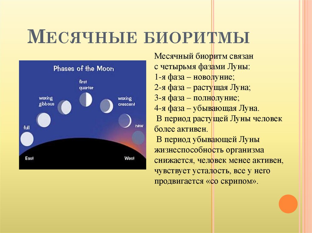 Фазы луны 24г. Месячные биоритмы. Фазы Луны. Месячные циклы биоритмов. Лунные ритмы у человека.