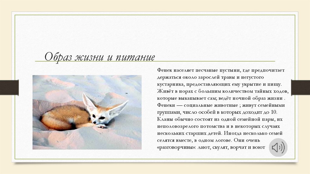 Образ жизни и питание