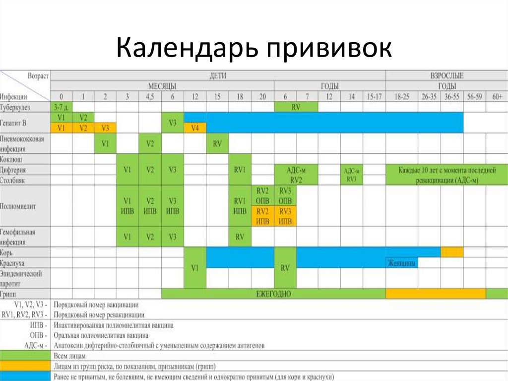 Национальный календарь прививок рф. АКДС календарь прививок 2022. График вакцинации детей в России. Национальный календарь прививок для детей до 1 года в РФ.