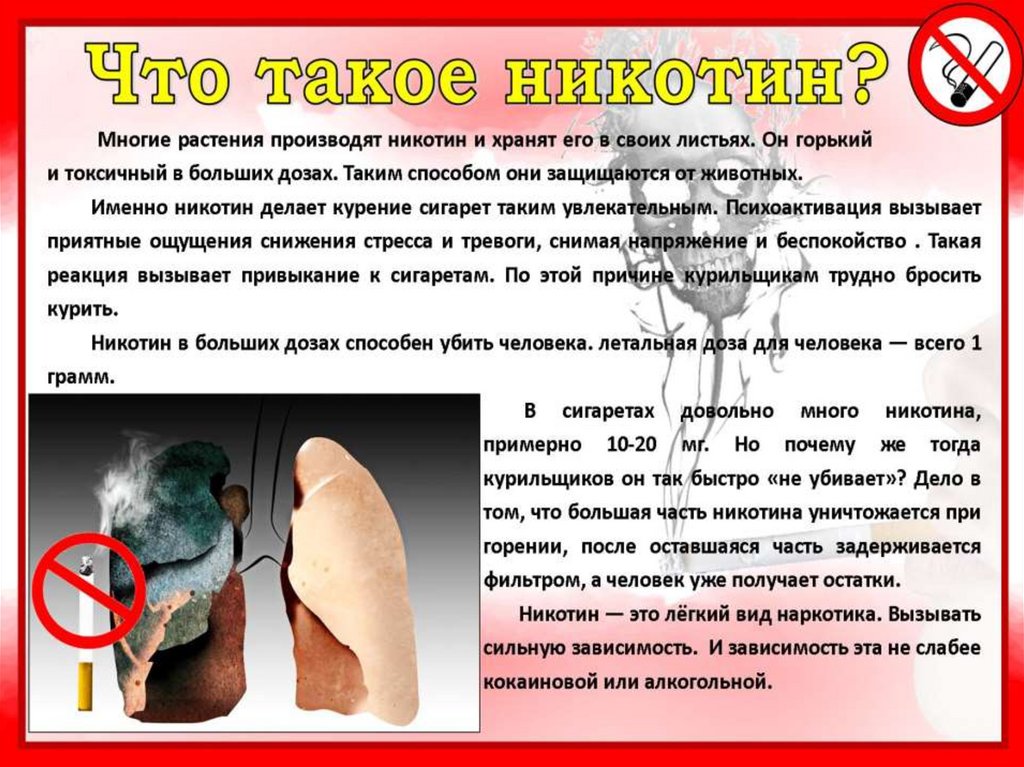 История табакокурения презентация