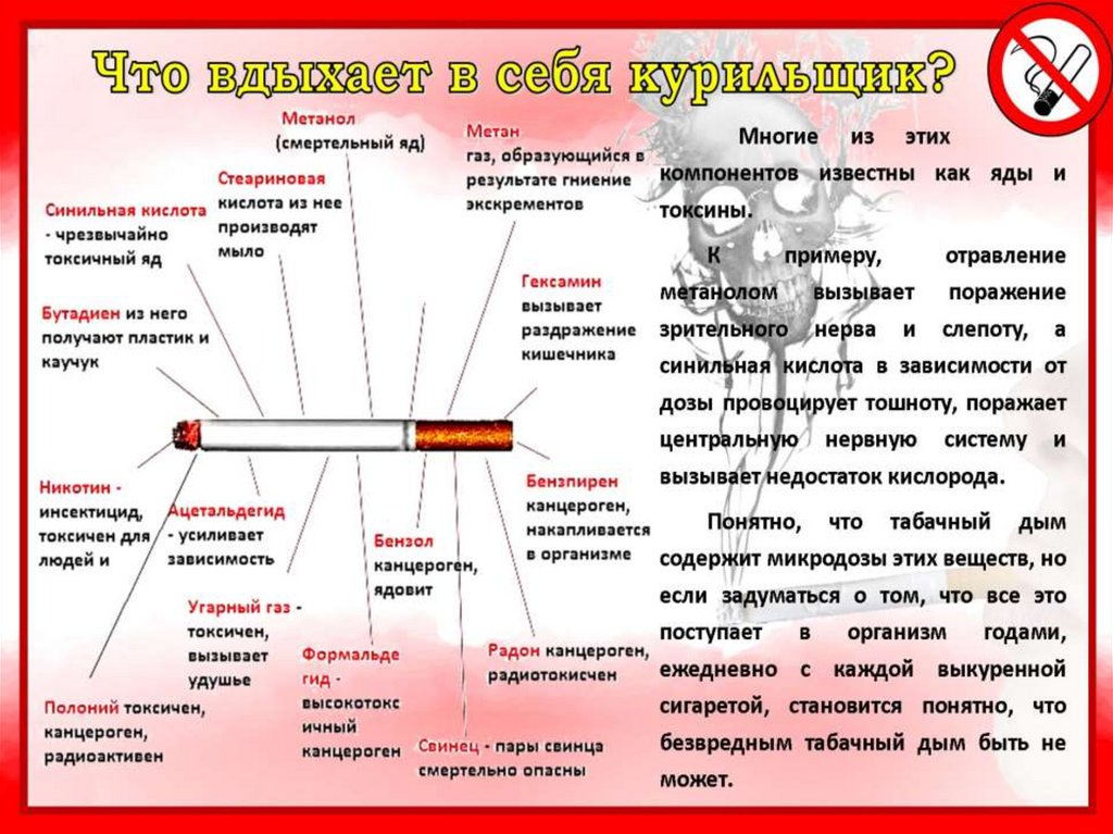 Социальный проект нет курению