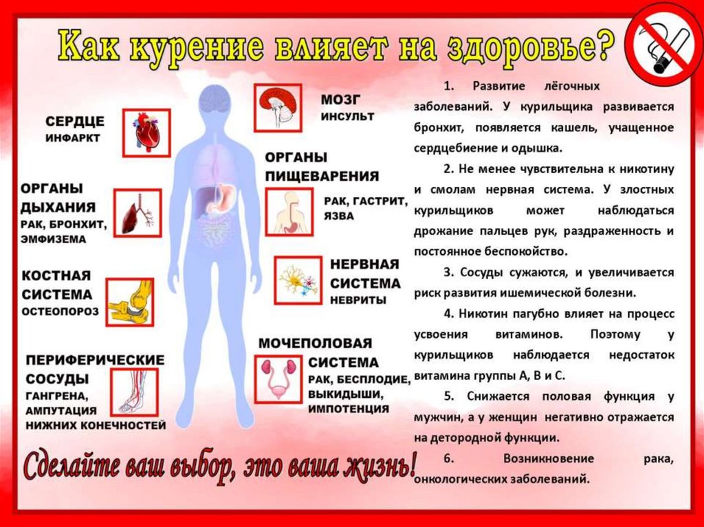 Презентация профилактика табакокурения среди подростков