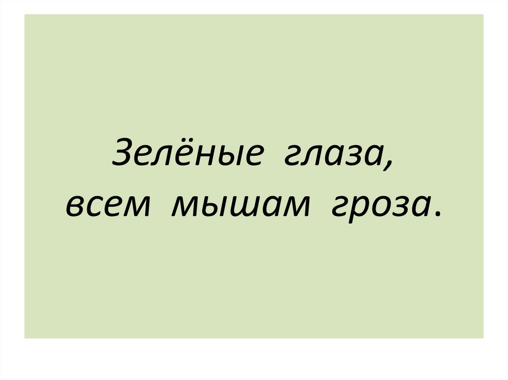 Зелёные глаза, всем мышам гроза.