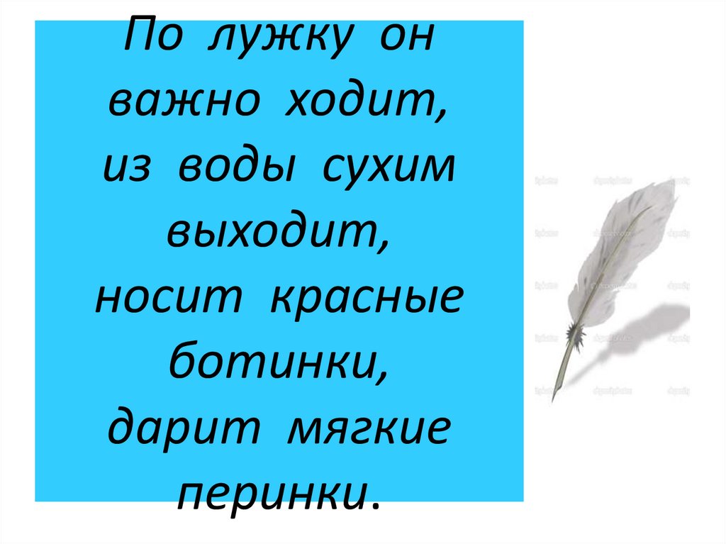 Важно ходит. Зеленые глаза всем мышам гроза. Загадки зелёные глаза всем мышам гроза. По лужку он важно ходит из воды. По лужку он важно ходит из воды сухим выходит кто это.