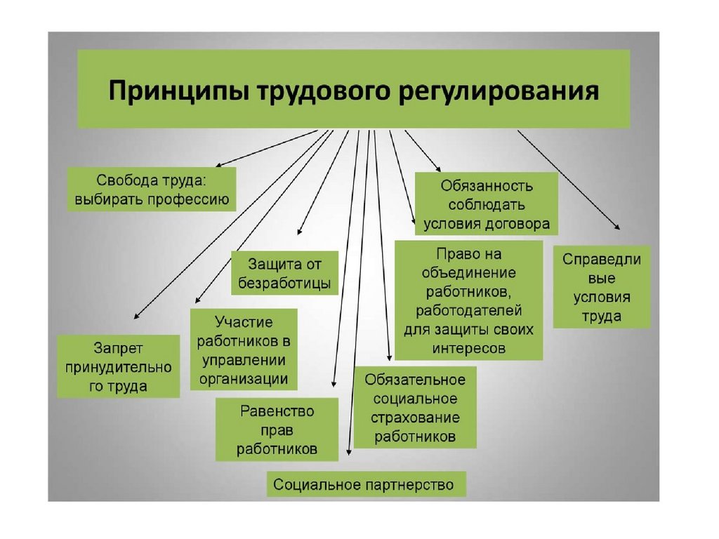 Проблема свободы труда. Принципы правового регулирования труда. Принципы правового регулирования трудовых отношений. Принципы правового регулирования социально-трудовых отношений. Принципы трудового регулирования трудовых отношений.