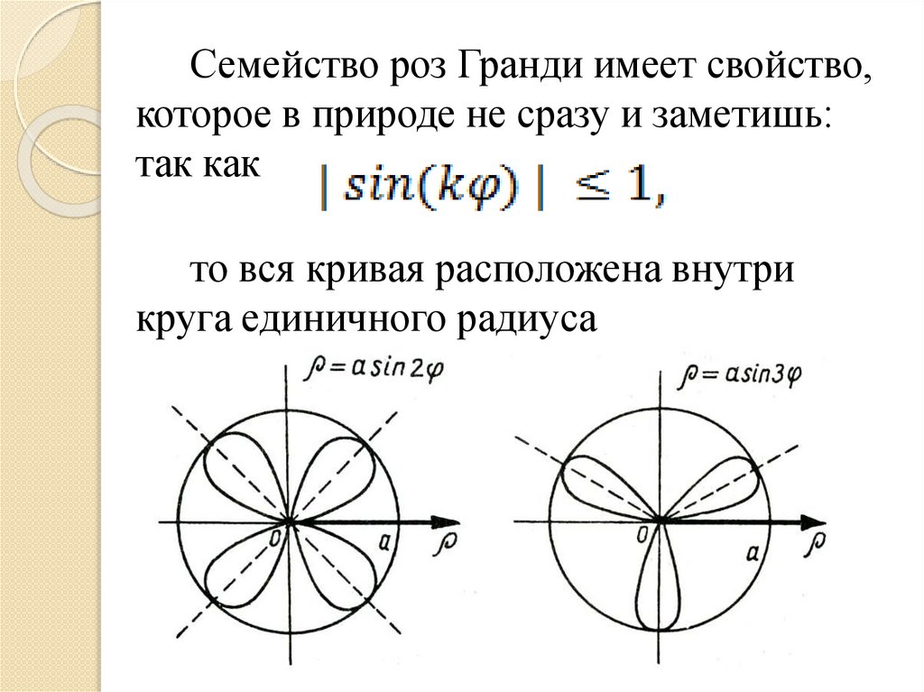 Розы гвидо гранди проект