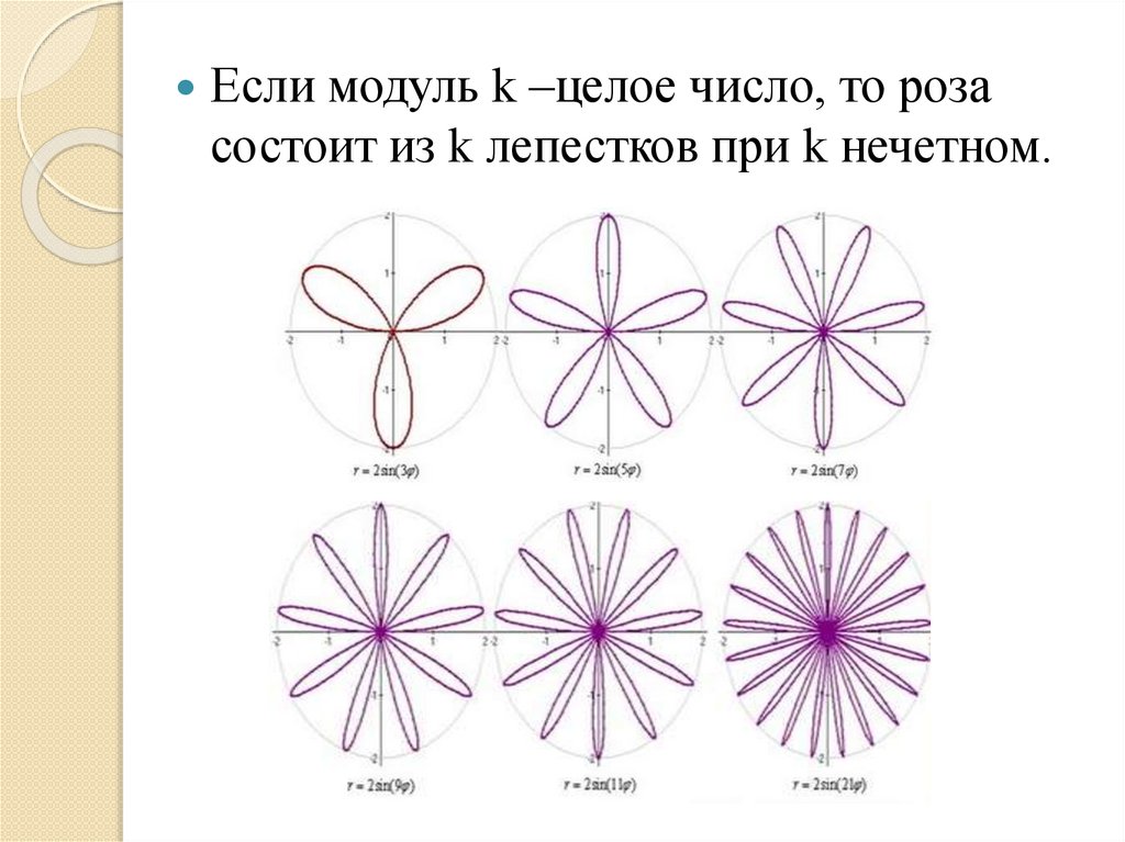 Замечательные математические кривые розы и спирали проект