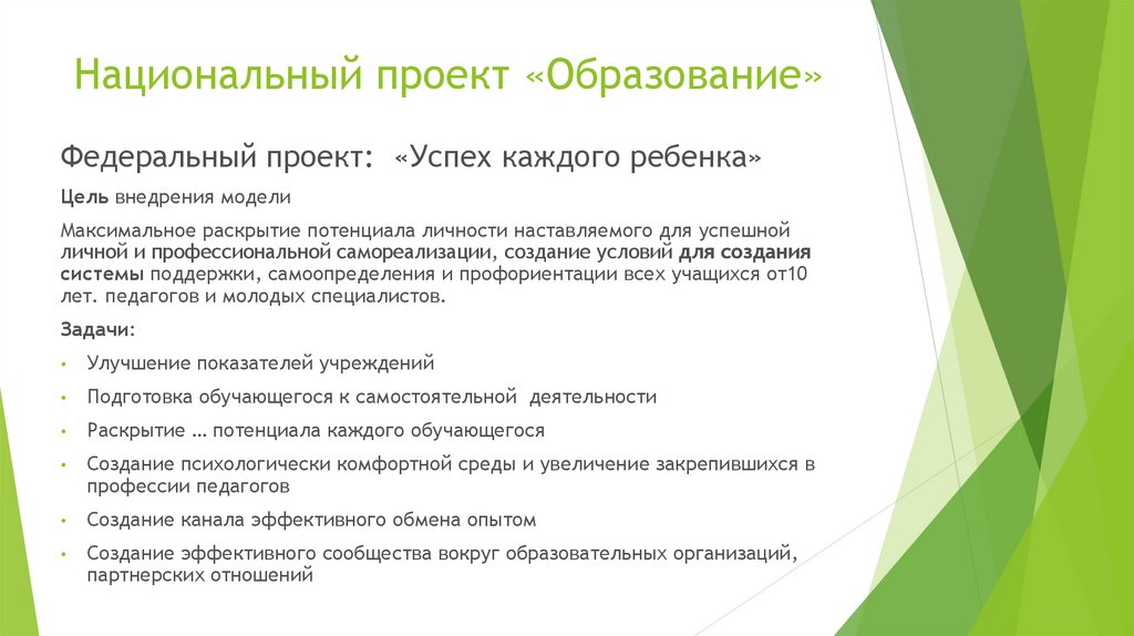 Проект успех каждого ребенка в дополнительном образовании