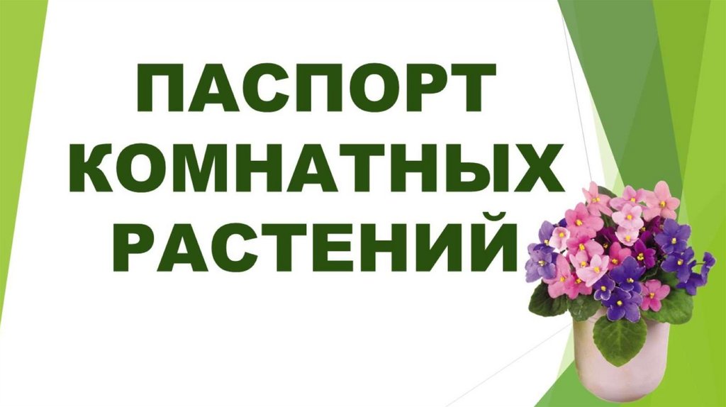 Паспортизация растений презентация