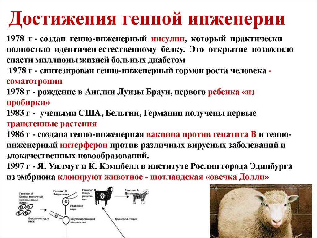 Открытие генной инженерии презентация