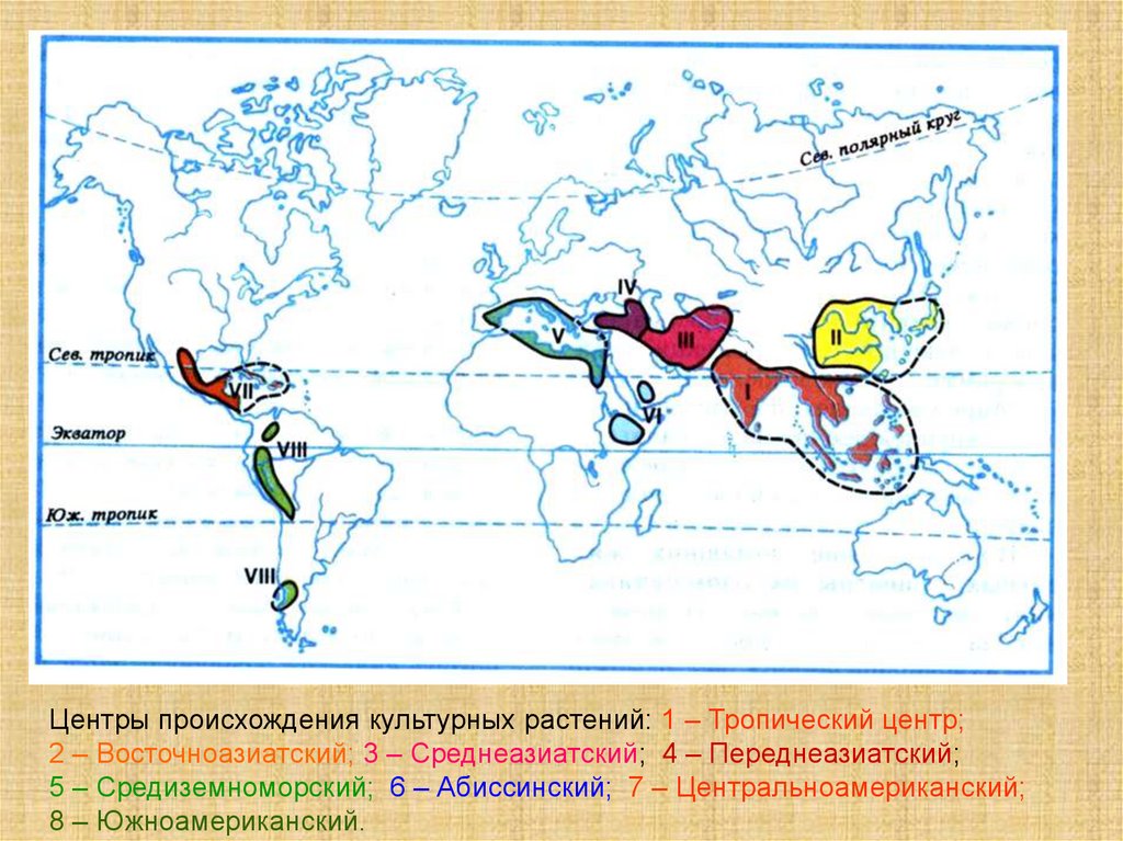 Первичные и вторичные центры происхождения овощных растений